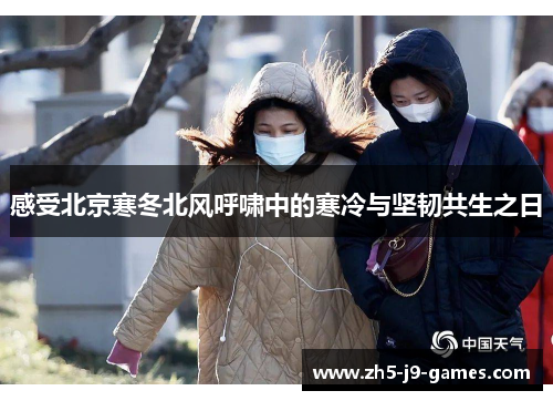 感受北京寒冬北风呼啸中的寒冷与坚韧共生之日