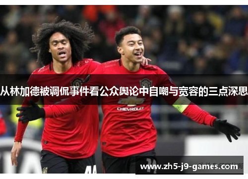 从林加德被调侃事件看公众舆论中自嘲与宽容的三点深思